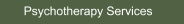 Psychotherapy Services